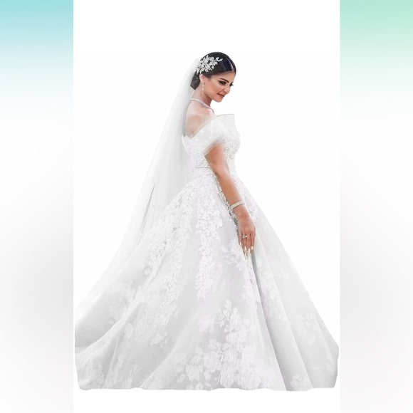 New Wedding Dress VCCICANY Luxury Illusion Off The Shoulder